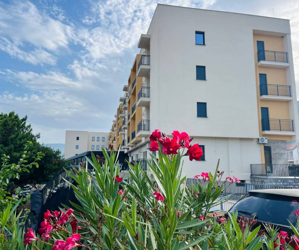Details Prometheus Real Estate Buy Sell Rent In Montenegro